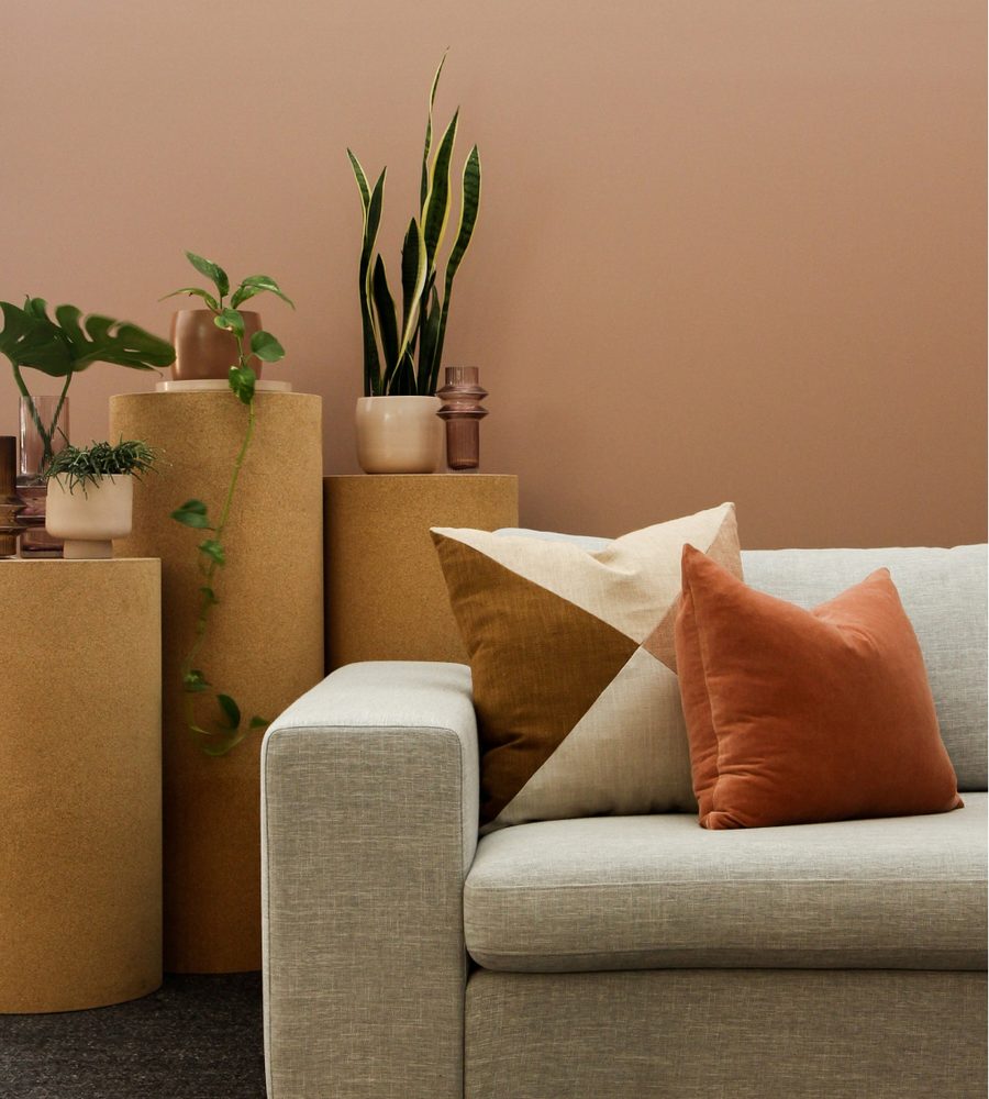 Bright living room with a sofa and cushions
